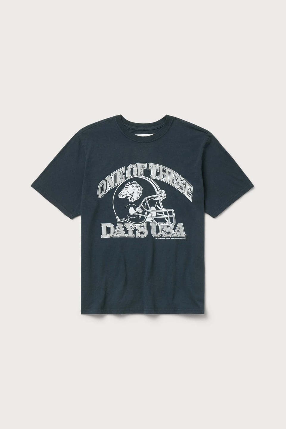 One Of These Days Days Usa T-shirt