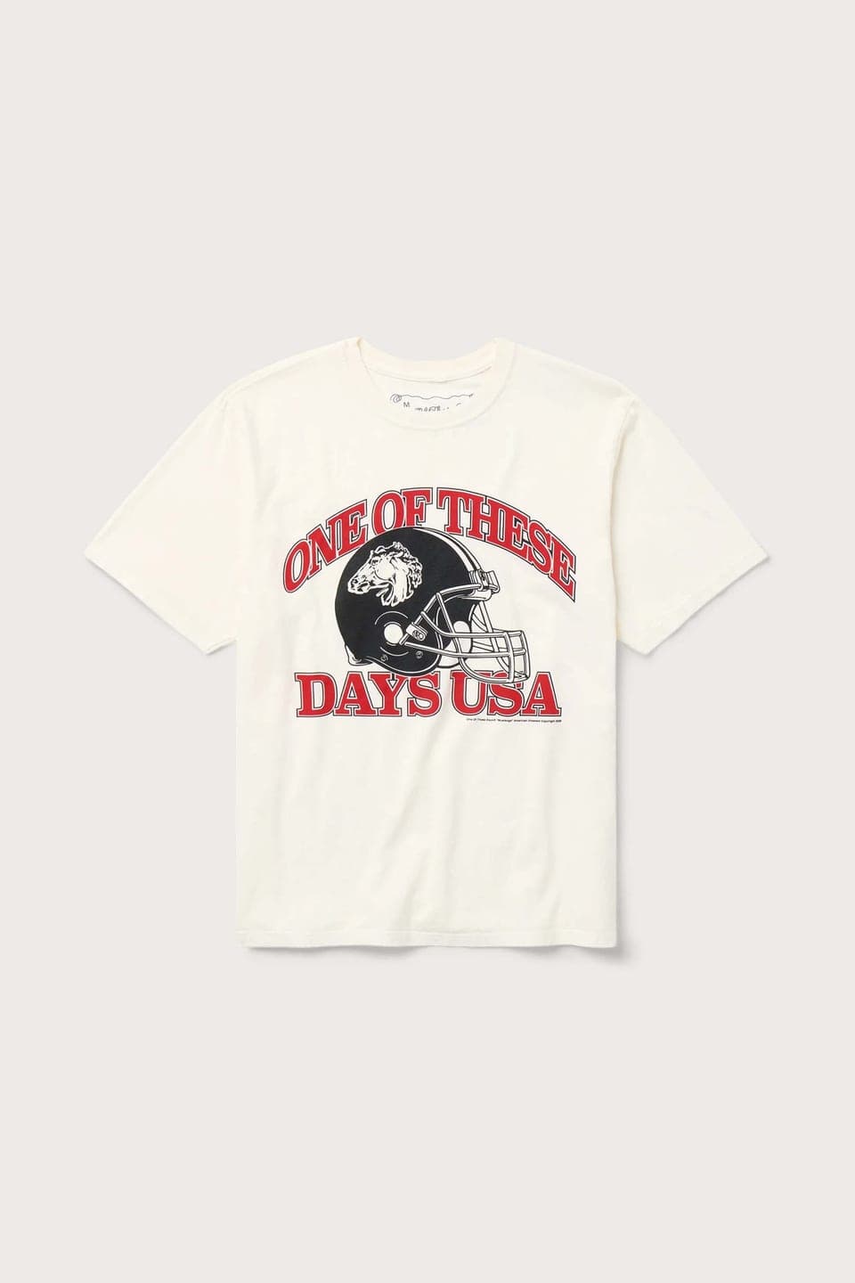 One Of These Days Days Usa T-shirt
